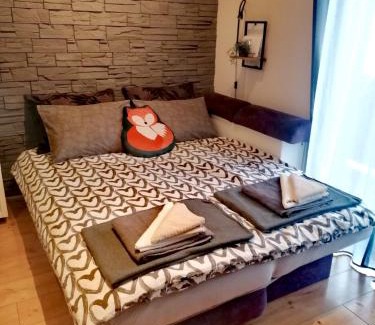 Fuzine Apartamento | Studio Apartman Roxy