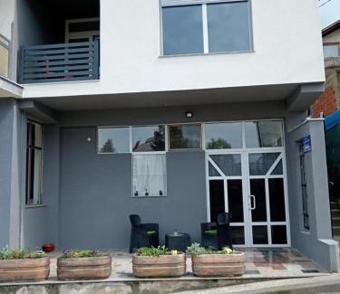 Mali Radic Apartamento | Studio apartman Sokak