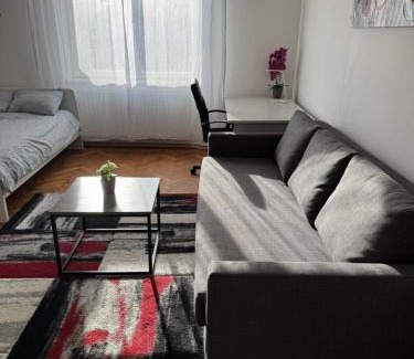 Zagreb Apartamento | Studio Apartman Thalia