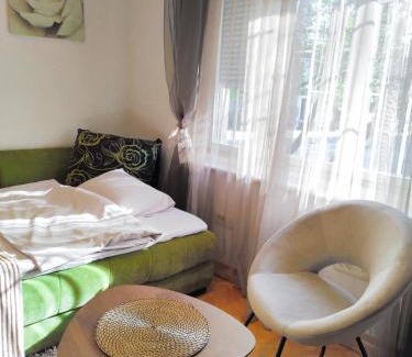 Downtown Apartamento | Studio apartment CENTER