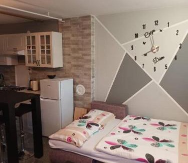 Ogulin Apartamento | Studio Apartment Dunja