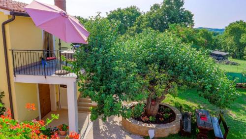 Vizinada Apartamento | Studio Apartment Gianni
