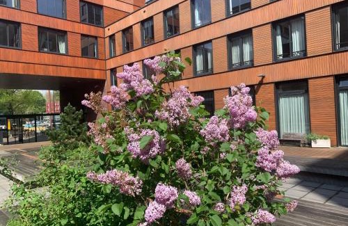 Haarlemmerbuurt Apartamento | Studio-apartment in city-center