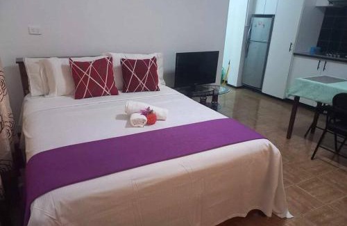 Nadi Apartamento | Studio Apartment in Namaka Nadi