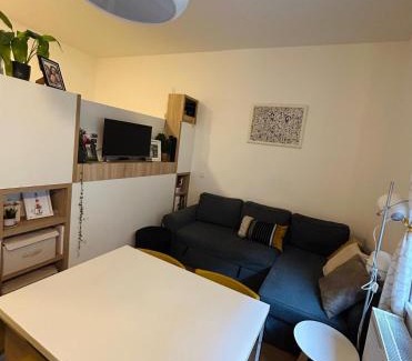 Donji Grad Apartamento | Studio Apartment Ivy