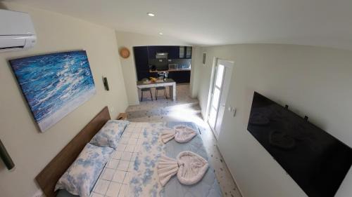 Galizana Apartamento | Studio Apartment More