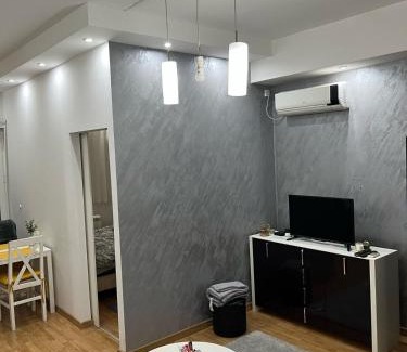 Vozdovac Apartamento | Studio apartment near the city center