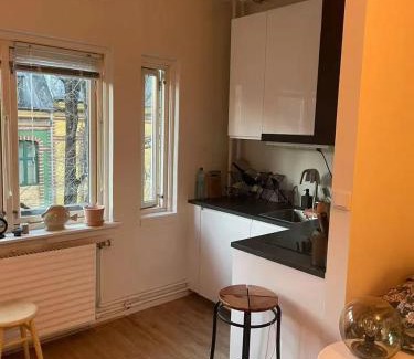 Majorstua Apartamento | Studio at city center of Oslo