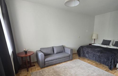 Savonlinna Apartamento | Studio at Tottinkatu