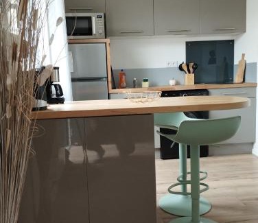 Tremuson Apartamento | Studio au calme avec jardin
