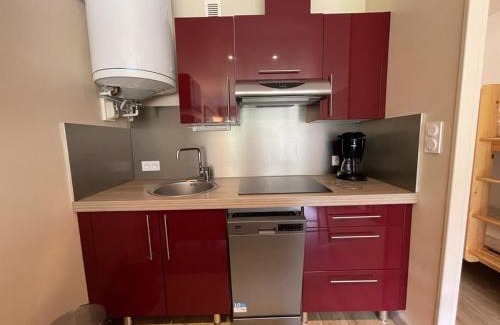 Laveissiere Apartamento | Studio avec balcon, cuisine équipée et Wi-Fi au Lioran - FR-1-787-70