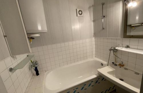 Laveissiere Apartamento | Studio avec balcon en centre station, WiFi et animaux admis - FR-1-787-60