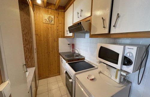 Laveissiere Apartamento | Studio avec balcon en centre station, WiFi et animaux admis - FR-1-787-60