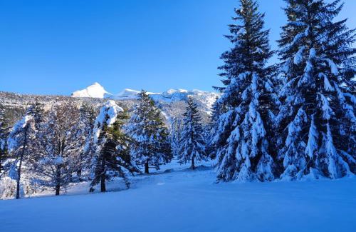 Correncon-en-Vercors Apartamento | Studio avec vue montagne au pied des pistes