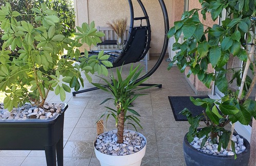 Santa-Maria-Poggio Apartamento | Studio Avec Balnéo à 500m de la Plage