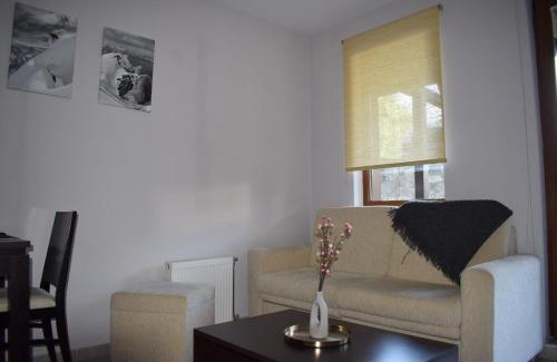 Shiligarnika Apartamento | Studio Bella, Bansko
