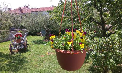 Porec Apartamento | Studio Benassi