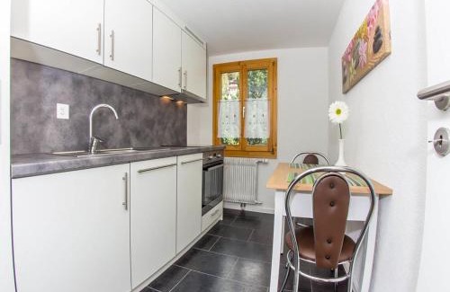 Graechen Apartamento | Studio Bergfink Obergeschoss-5 by Interhome
