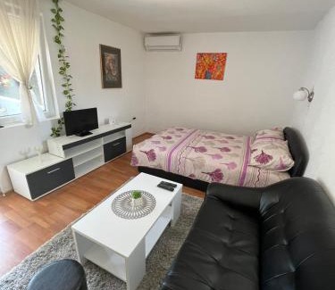 Banja Koviljaca Apartamento | Studio Biki