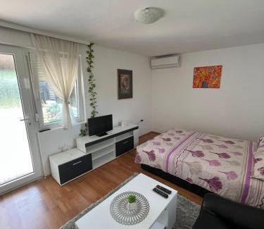 Banja Koviljaca Apartamento | Studio Biki
