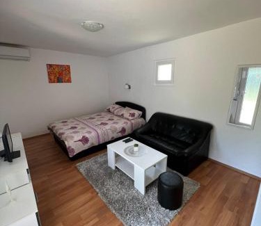 Banja Koviljaca Apartamento | Studio Biki