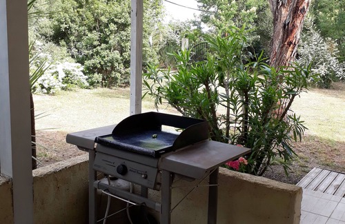 Linguizzetta Apartamento | Studio Bird de mer