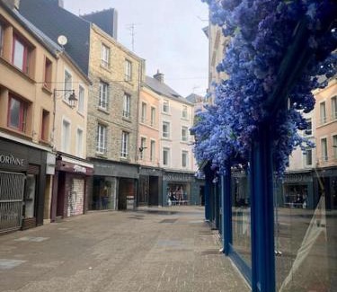 Cherbourg-en-Cotentin Apartamento | Studio Bois flotté Cherbourg Netflix Parking