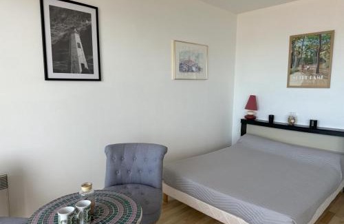 Notre-Dame-de-Monts Apartamento | Studio bord de mer, balcon, animaux bienvenus, parking - Notre-Dame-de-Monts - FR-1-540-315