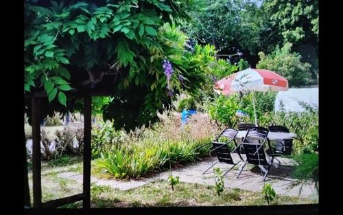 Ingersheim Apartamento | Studio côté jardin