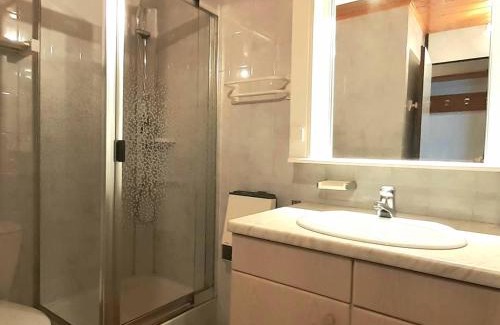 Aime Apartamento | Studio cabine ski aux pieds, 4 pers, animaux admis, parking - FR-1-351-223