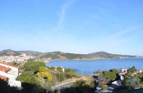 Banyuls-sur-Mer Apartamento | Studio cabine à Banyuls-sur-Mer, parking, clim, vue mer - FR-1-225C-385