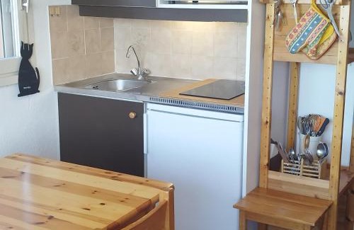 Prapoutel Apartamento | Studio Cabine au Calme, Proche des Pistes et du Centre, Balcon, TV - FR-1-771-68
