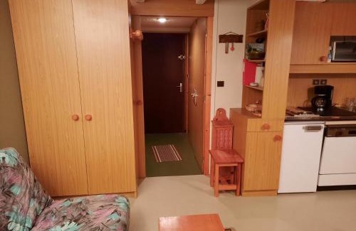 Chamrousse Apartamento | Studio cabine avec jardin, 24m², Chamrousse 1650, idéal pour famille, équipements complets - FR-1-340-265