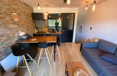 Chatel Apartamento | Studio Cabine Idéal: à 400m du Centre, Balcon Ouest, Casier à Skis – Châtel - FR-1-693-97