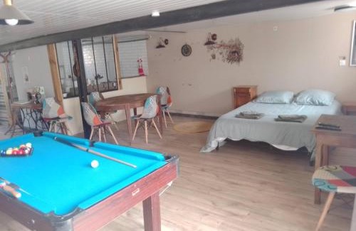 Saint-Priest Apartamento | Studio calme avec billard