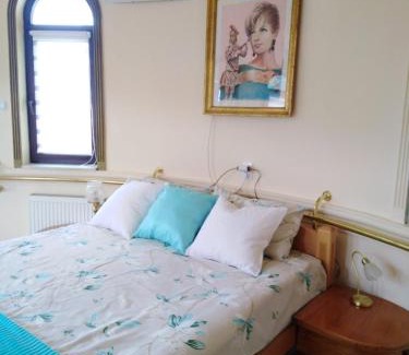 Banja Koviljaca Apartamento | Studio Carobna Dunja