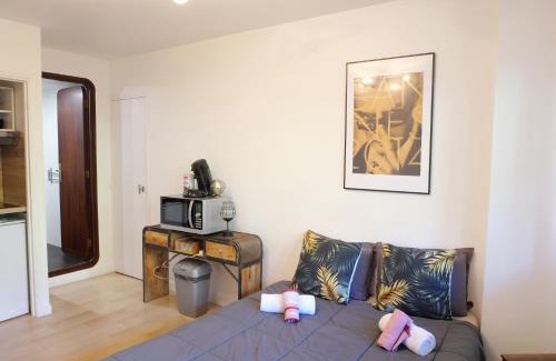 Carnot Apartamento | Studio centre de Cannes