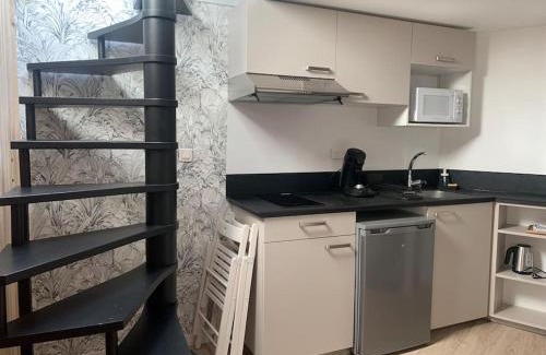 La Roche-sur-Yon Apartamento | Studio centre ville avec terrasse toit
