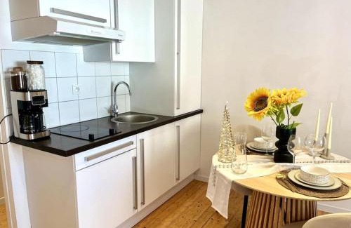 Anatole France Danton Apartamento | Studio Centre Ville COTY