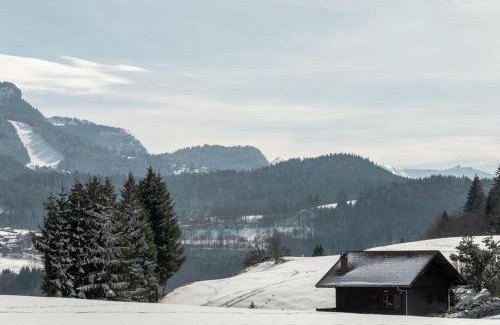 Les Carroz-d'Araches Apartamento | Studio chaleureux 4 pers, centre village, proche pistes et commerces, balcon sud-ouest - FR-1-572-105