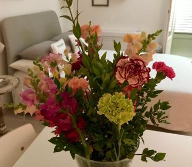 Old Town Apartamento | Studio Chateau - Vieux Nice