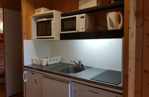 Arc-1600 Apartamento | Studio coin montagne 5 pers, proche pistes et commerces, avec terrasse exposée Sud - FR-1-411-36