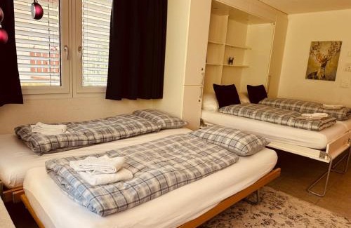 Zermatt Apartamento | Studio Collinetta