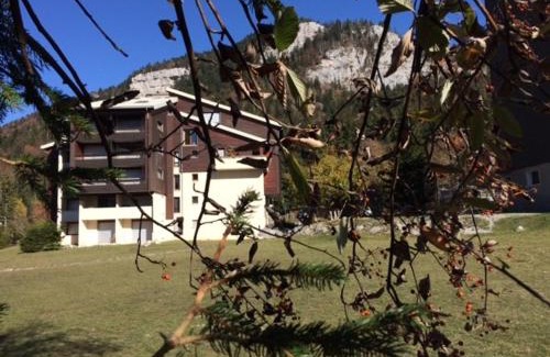 Correncon-en-Vercors Apartamento | Studio cosy au pied des pistes, parfait pour famille, avec balcon, proche golf et randonnées - FR-1-515-99
