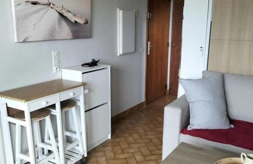 Barbotan-les-Thermes Apartamento | Studio cosy avec terrasse et barbecue à Cazaubon - 28 m²