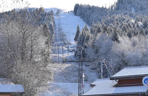 Bernex Apartamento | Studio cosy entre pistes et sentiers – Parking inclus - FR-1-498-71