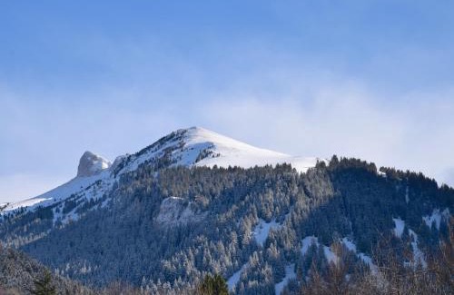 Bernex Apartamento | Studio cosy entre pistes et sentiers – Parking inclus - FR-1-498-71