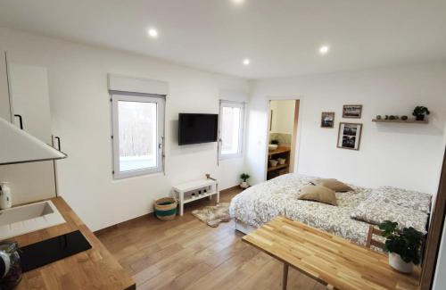 Saint-Denis-de-l'Hotel Apartamento | Studio cosy Bienvenue chez Elle