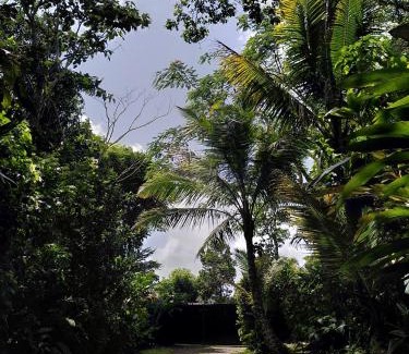 Les Anses-d'Arlets Casa | Studio dans la forêt tropicale