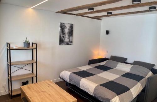 Ragon et la Malnoue Apartamento | Studio de charme proche Nantes & aéroport au calme